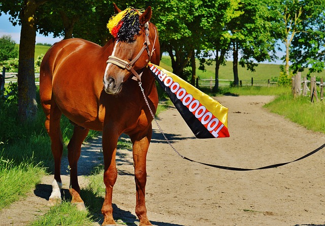 金球奖评选 金球奖评选