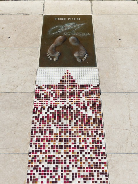 运动员王楚 运动员王楚