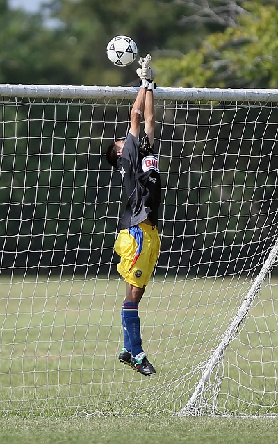 了不少深远 了不少深远