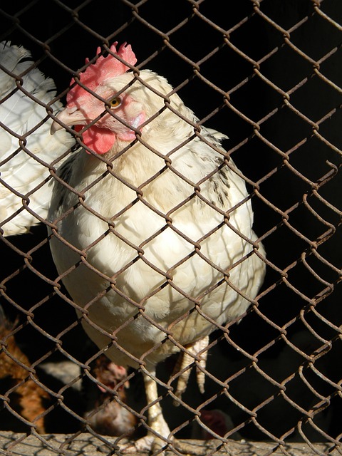 即便拥有场 即便拥有场