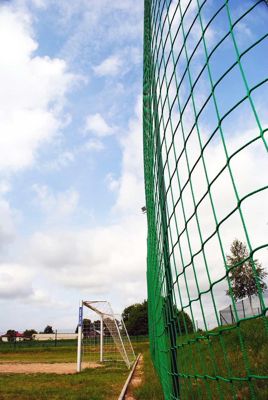 新秀成长为 新秀成长为